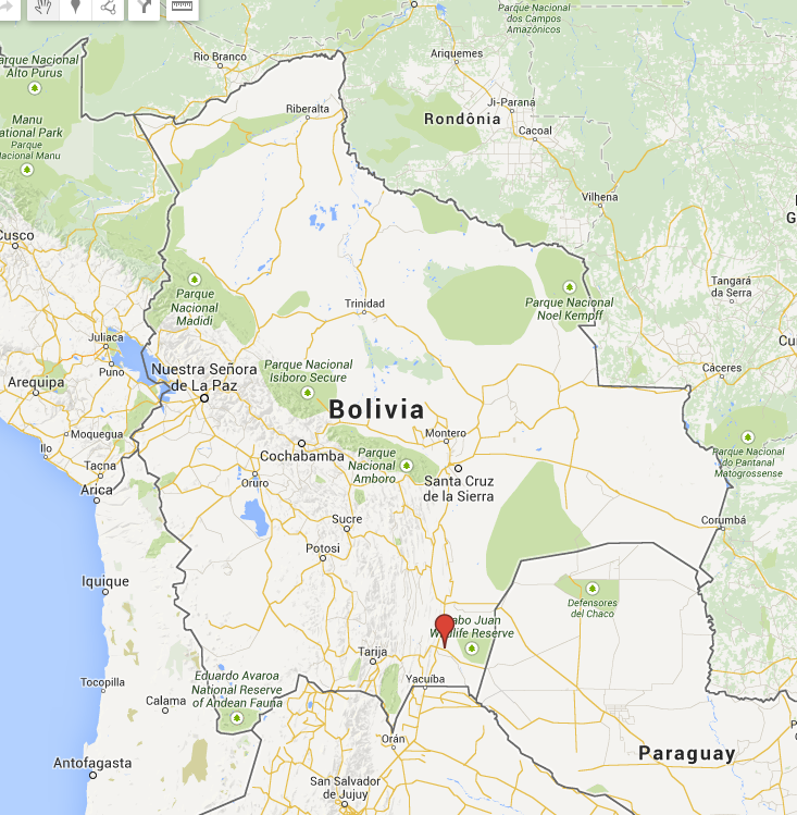 El Palmar Colony Google Maps.png